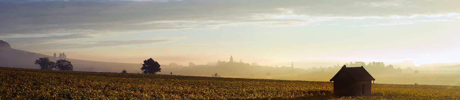 La biodynamie respecte la nature et offre une alternative de culture