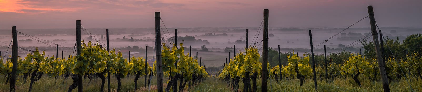 La biodynamie respecte la nature et offre une alternative de culture