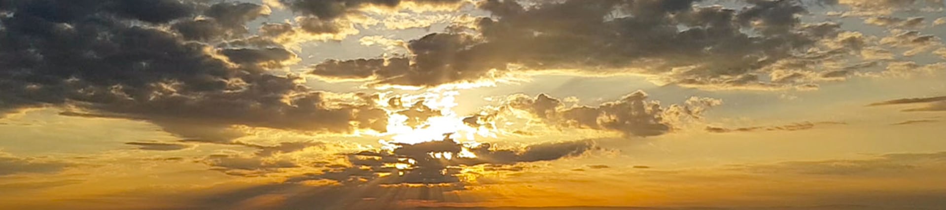 Nos domaines partenaires