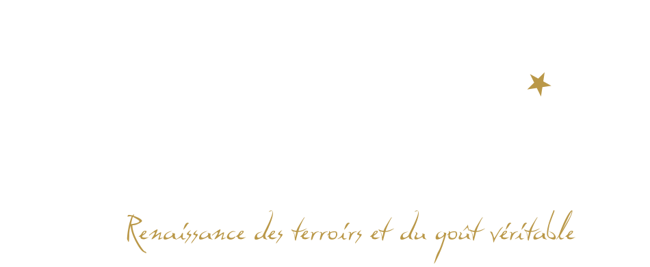 Subtil Wine - Vins Biodynamiques