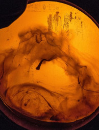 Domaine Saumaize-Michelin