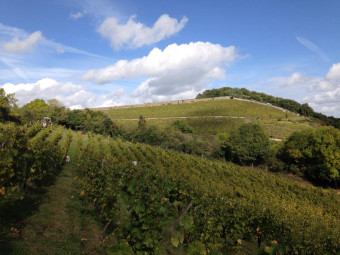 Domaine de la Coulée de Serrant