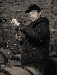 Domaine Saumaize-Michelin