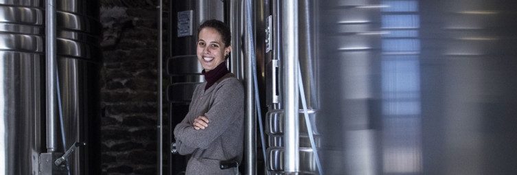 Domaine Guillemot-Michel