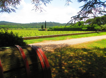 Domaine Chateau Gasqui