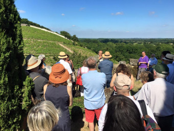 Domaine de la Coulée de Serrant