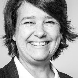 Domaine Chateau Falfas