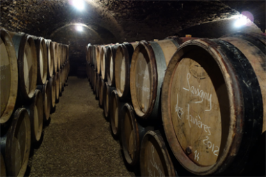 Domaine Chandon de Briailles