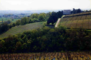 Domaine de la Coulée de Serrant