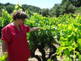 Domaine Pierre André