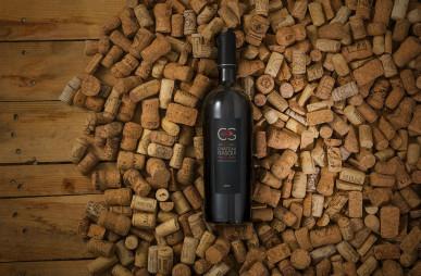 Domaine Chateau Gasqui