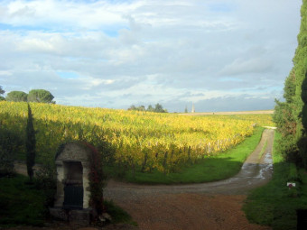 Domaine de la Coulée de Serrant