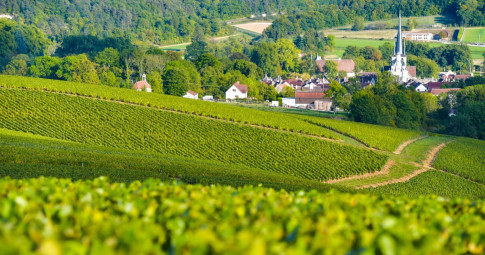 Domaine Larmandier-Bernier