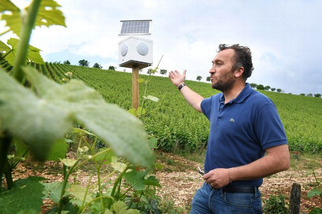 Domaine Du Nozay, partenaires biodynamiques de Subtil