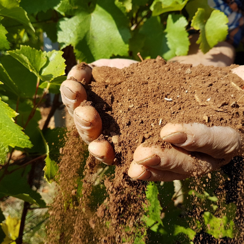 C'est quoi exactement la biodynamie ?