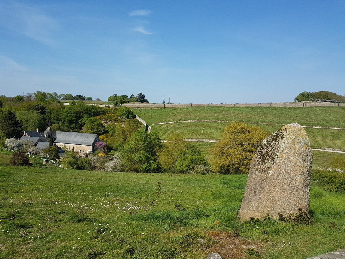 Domaine de la Coulée de Serrant