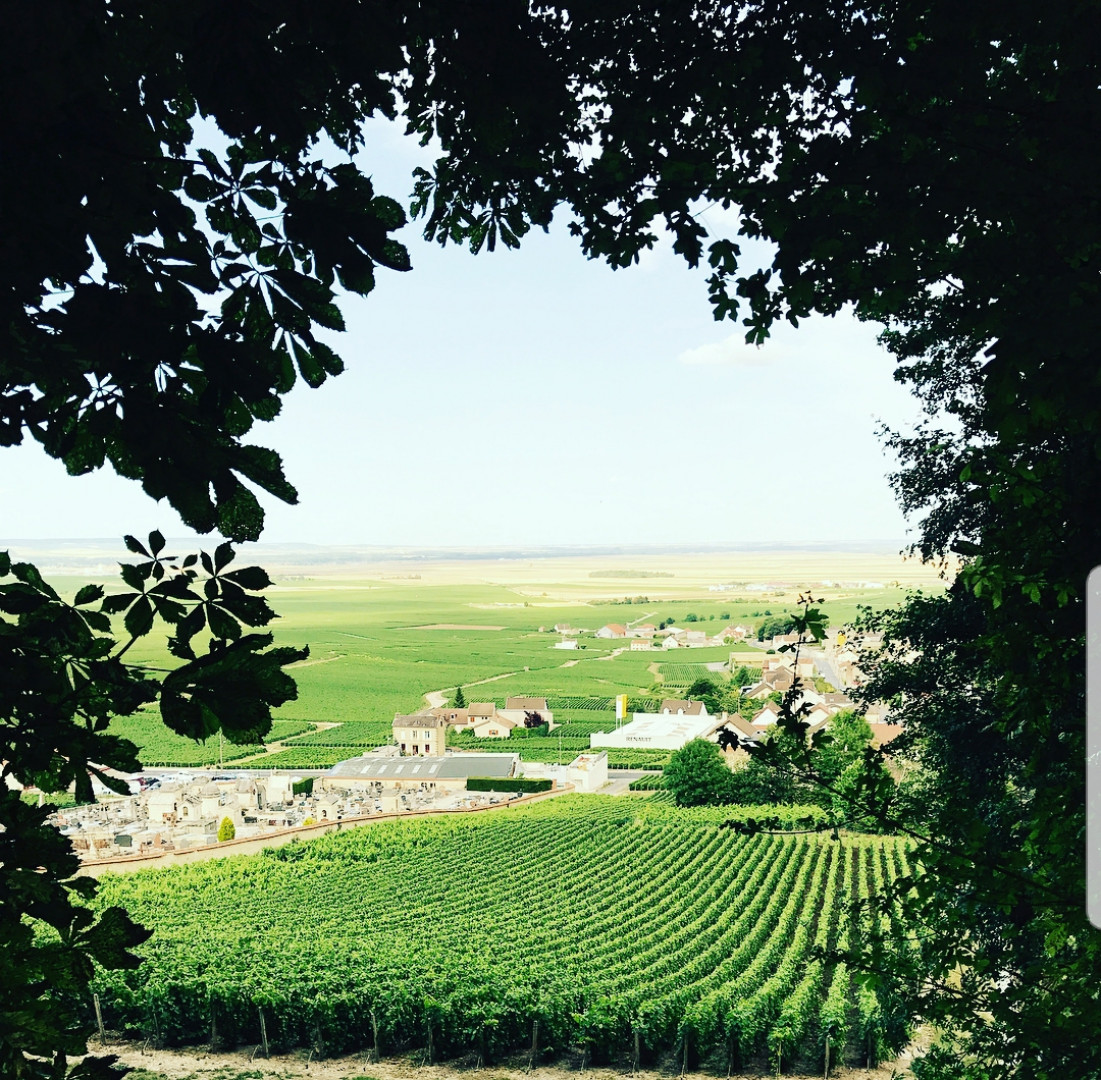 Domaine Larmandier-Bernier