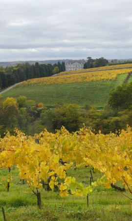 Vins biodynamiques Loire de France
