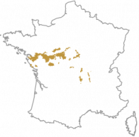 Loire-Valley